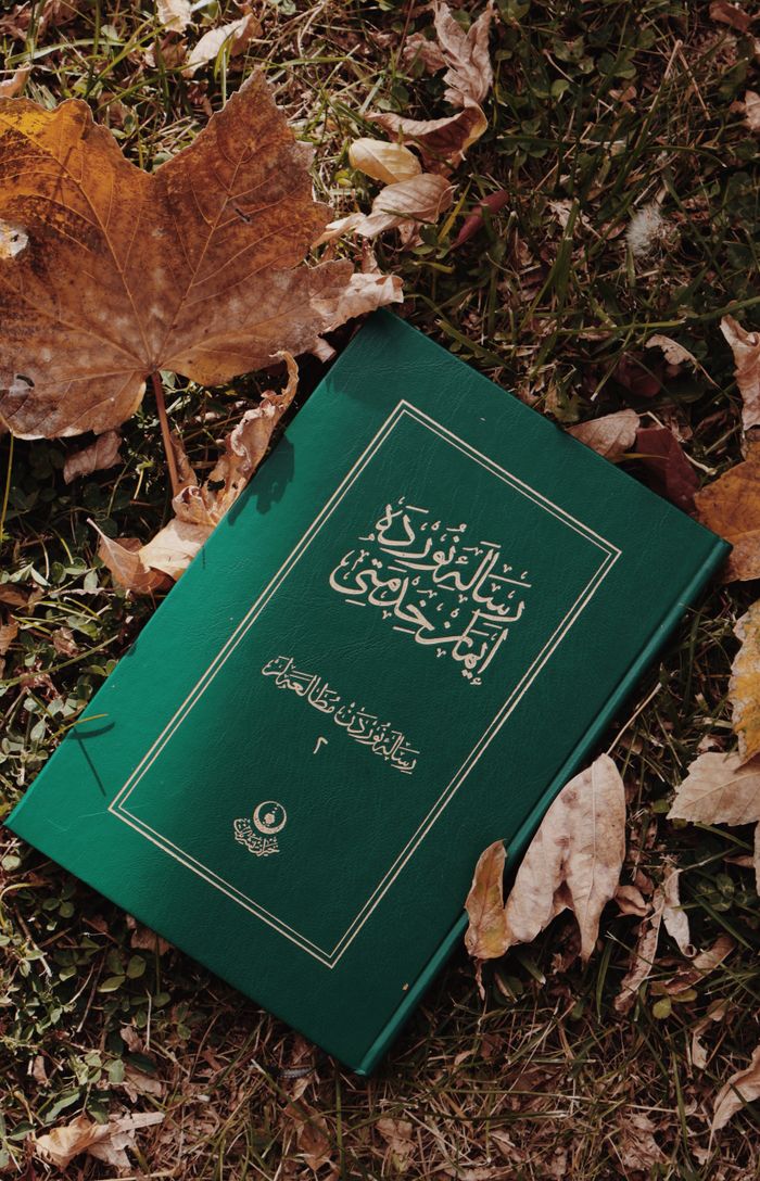 services-03 A green book lies on grass surrounded by autumn leaves, creating a serene and contemplative scene.
